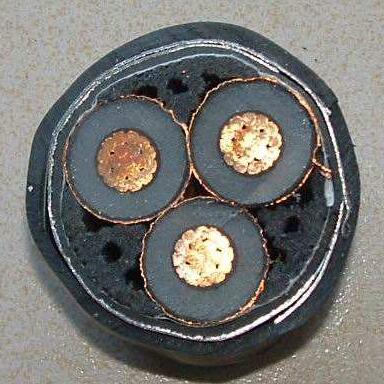 FS-YJYP-35KV 3*150 3*185 防水交联电缆屏障高压电缆- 35KV高压电缆-卷筒电缆_高柔性电缆_柔性电缆-亚星游戏-专业电缆生产厂家-安徽亚星游戏特种电缆最新产品推荐-专业生产卷筒电缆_柔性电缆_高柔性电缆等电缆产品-专业电缆生产厂家-电缆厂家