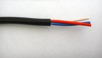 BC-G-VPVP 1*2*1.0 1*2*1.5 耐高温赔偿导线- 本安赔偿电缆-卷筒电缆_高柔性电缆_柔性电缆-亚星游戏-专业电缆生产厂家-安徽亚星游戏特种电缆最新产品推荐-专业生产卷筒电缆_柔性电缆_高柔性电缆等电缆产品-专业电缆生产厂家-电缆厂家
