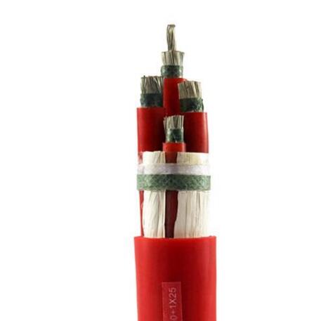 变频电缆报价 BPGP2G 变频器软电缆厂家- 变频屏障电缆-卷筒电缆_高柔性电缆_柔性电缆-亚星游戏-专业电缆生产厂家-安徽亚星游戏特种电缆最新产品推荐-专业生产卷筒电缆_柔性电缆_高柔性电缆等电缆产品-专业电缆生产厂家-电缆厂家