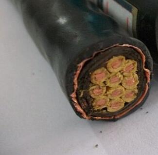 NH-KYJYP2 耐火铜带屏障控制电缆- 耐火环保电缆-卷筒电缆_高柔性电缆_柔性电缆-亚星游戏-专业电缆生产厂家-安徽亚星游戏特种电缆最新产品推荐-专业生产卷筒电缆_柔性电缆_高柔性电缆等电缆产品-专业电缆生产厂家-电缆厂家