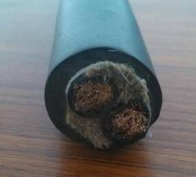 丁晴抗冻线 丁晴抗冻线生产厂家- 冷库电缆-卷筒电缆_高柔性电缆_柔性电缆-亚星游戏-专业电缆生产厂家-安徽亚星游戏特种电缆最新产品推荐-专业生产卷筒电缆_柔性电缆_高柔性电缆等电缆产品-专业电缆生产厂家-电缆厂家