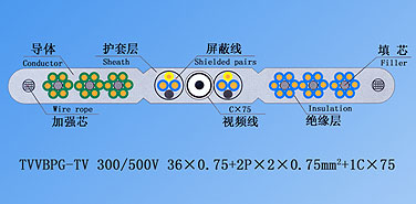 Ϸ222(й)ٷվ