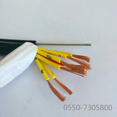 Ϸ222(й)ٷվ