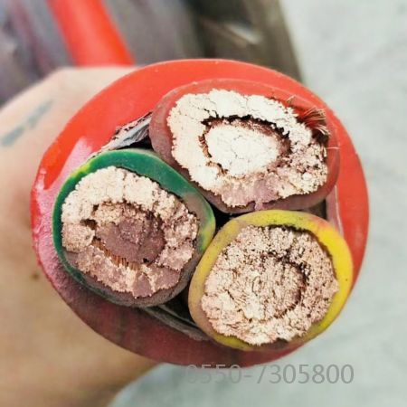 亚星游戏·222(中国区)官方网站