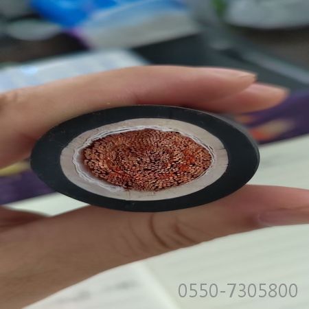 亚星游戏·222(中国区)官方网站