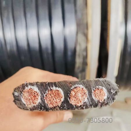 亚星游戏·222(中国区)官方网站