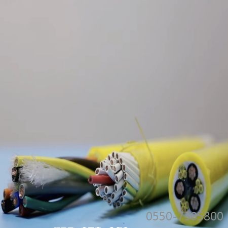 Ϸ222(й)ٷվ