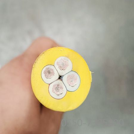 亚星游戏·222(中国区)官方网站