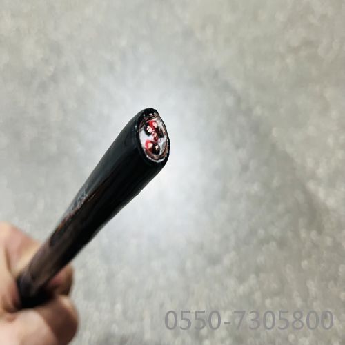亚星游戏·222(中国区)官方网站