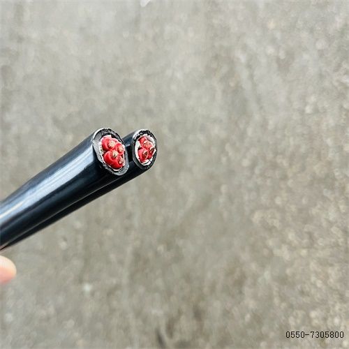 亚星游戏·222(中国区)官方网站