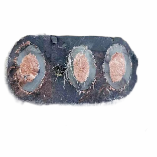 亚星游戏·222(中国区)官方网站